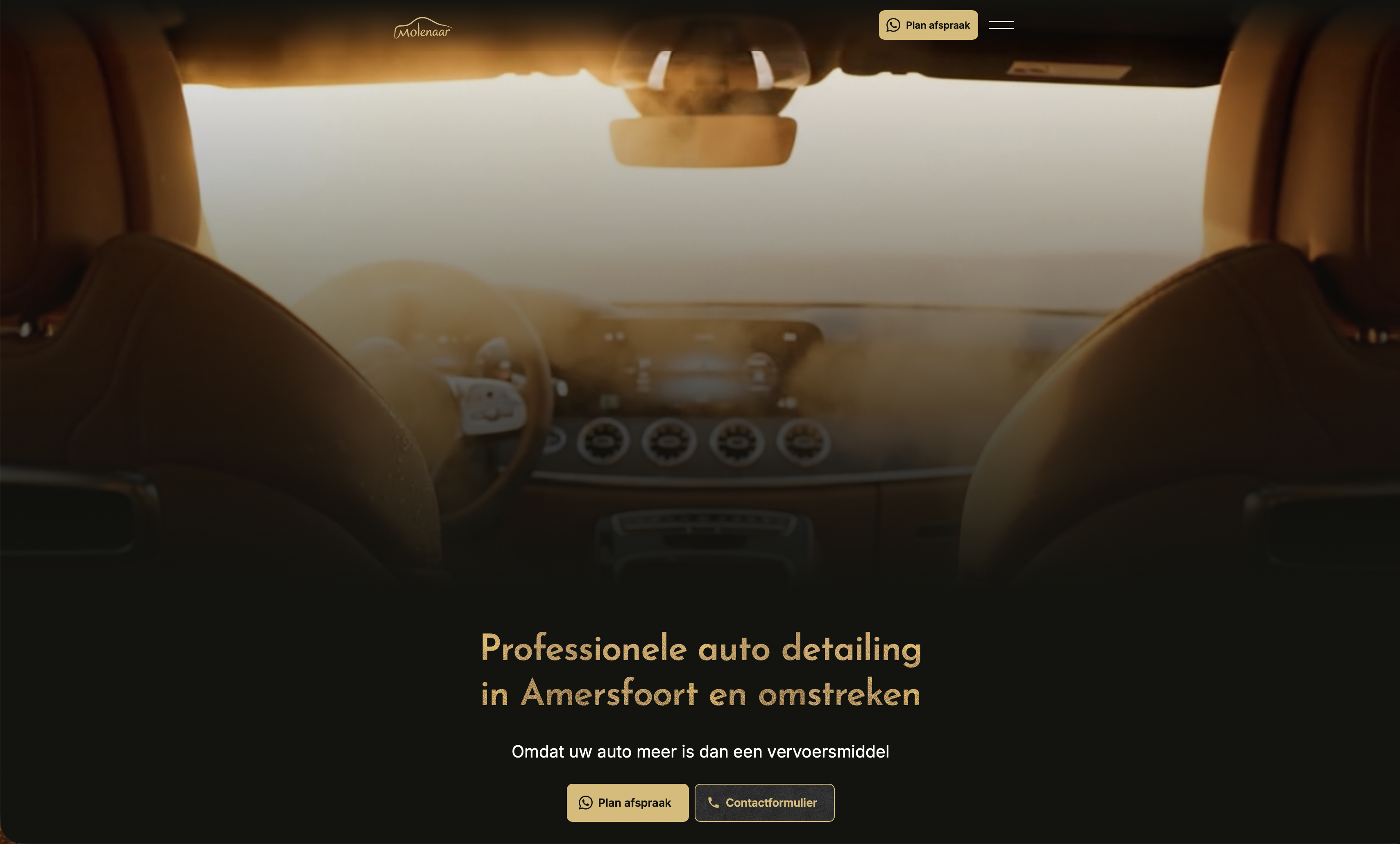 Molenaar Car Care website